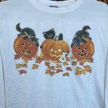 Load image into Gallery viewer, Kittens in Pumpkins Long Sleeve T-Shirt
