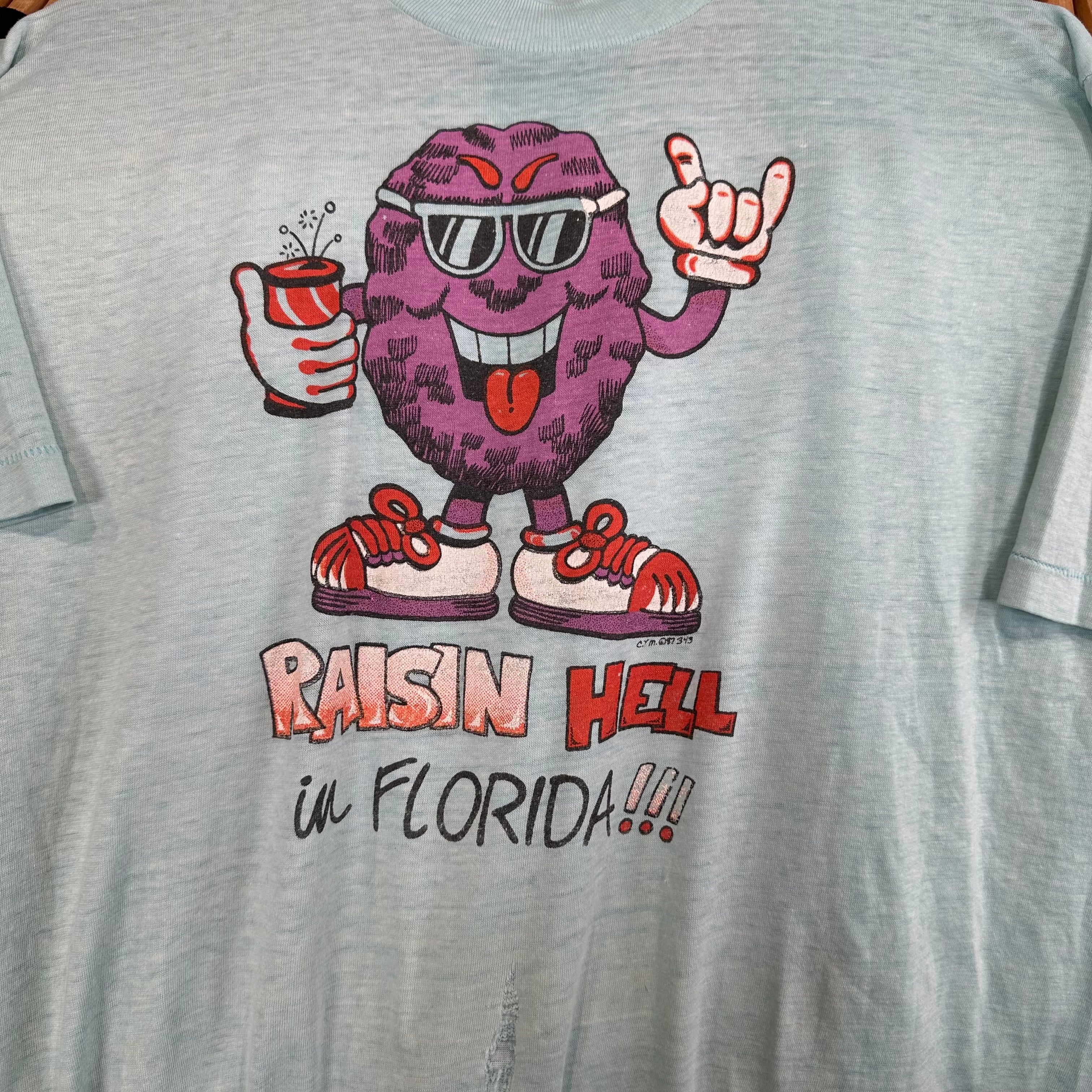Raisin Hell in Florida T-Shirt