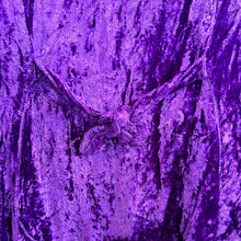 Load image into Gallery viewer, Whimsigoth Velvet Femme Button Up

