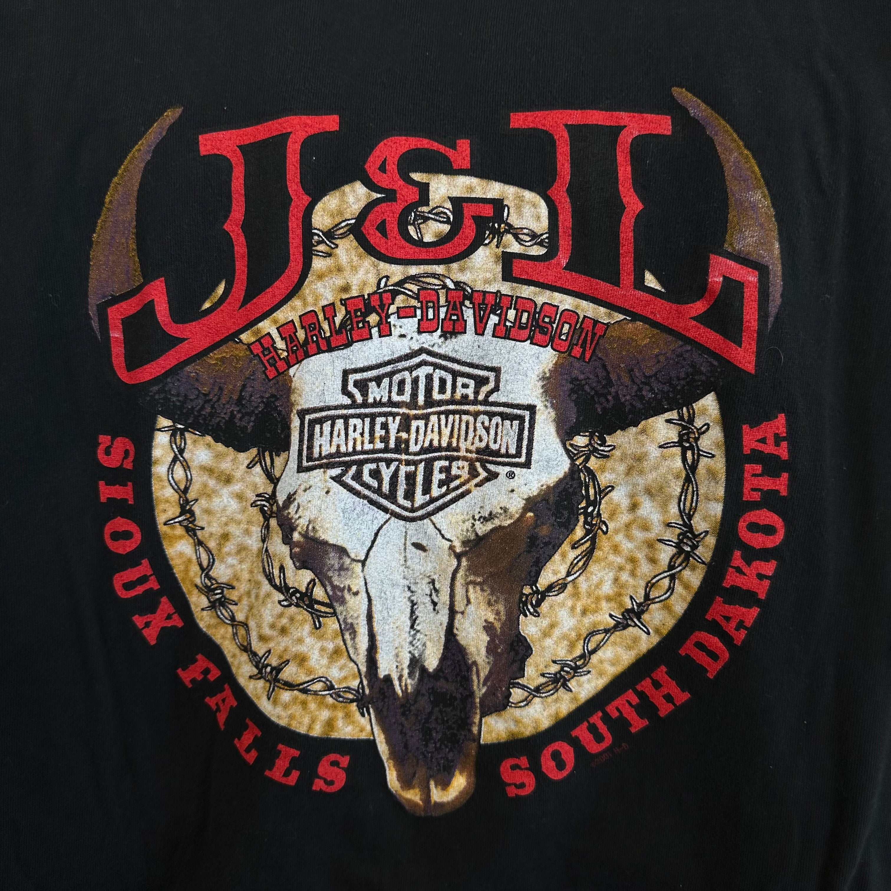 Harley Davidson USA Flag Spellout Sioux Falls, SD T-Shirt