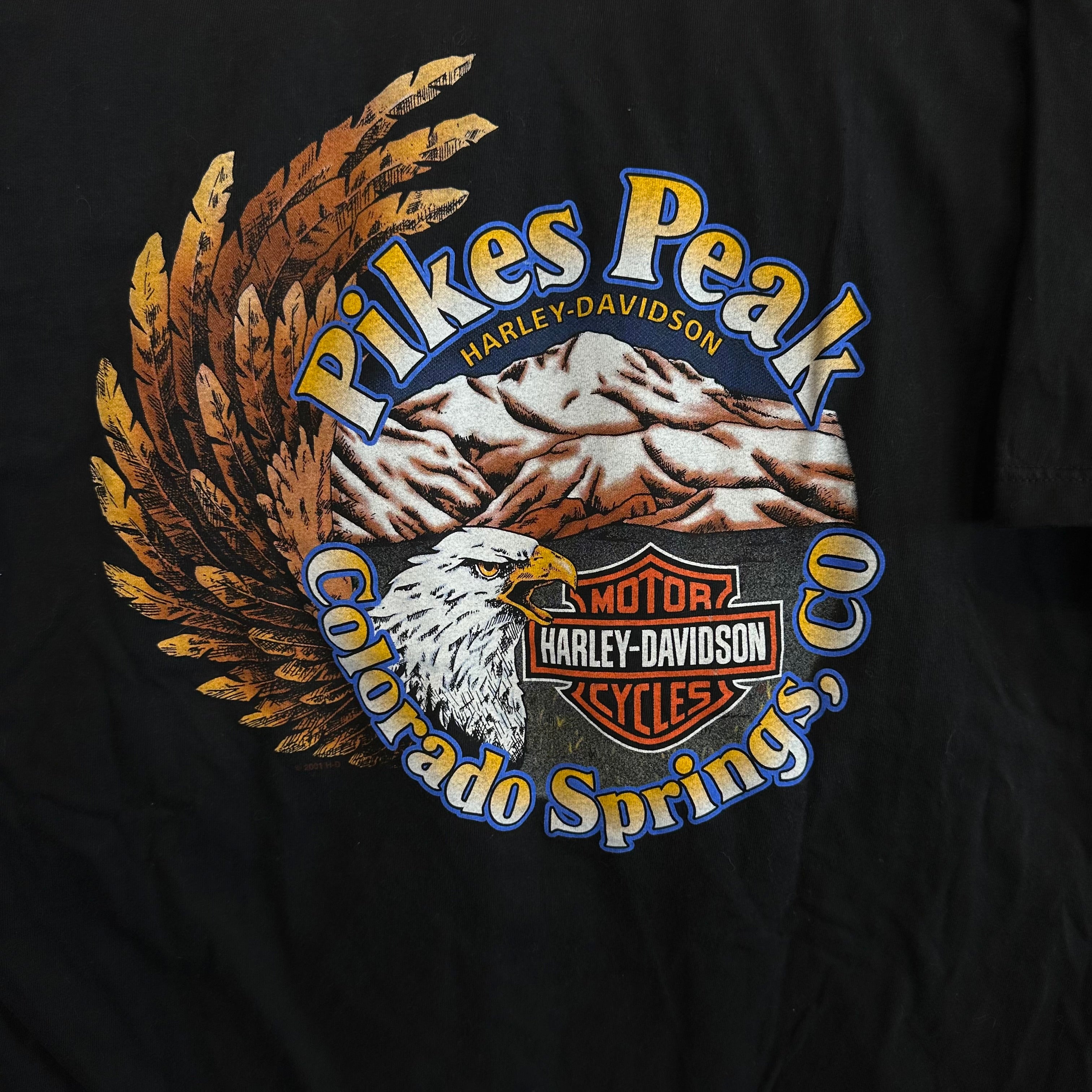 Harley Davidson Flame Spellout Colorado Springs, CO T-Shirt
