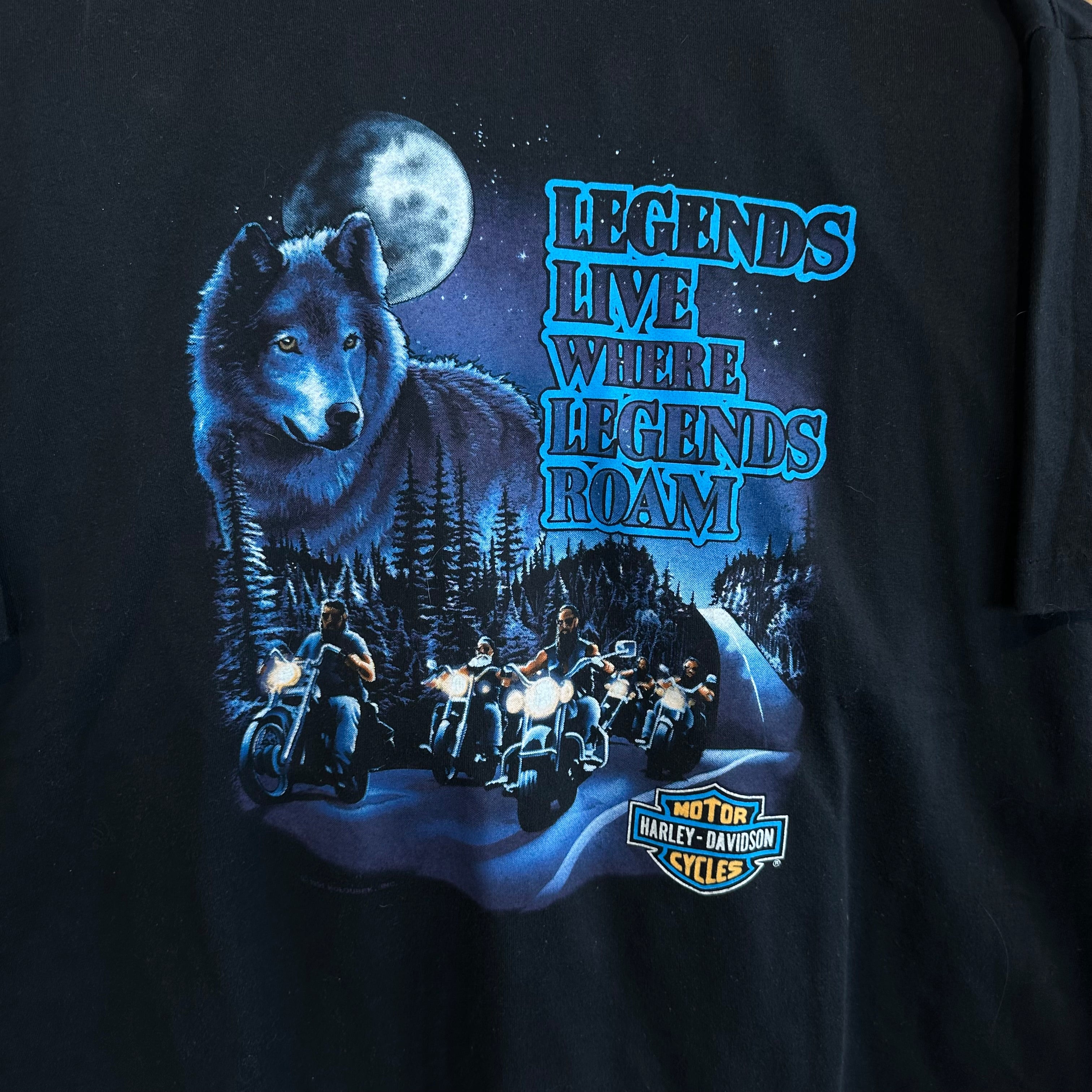 Harley Davidson Legends Live Where Legends Roam MOA/Twin Cities, MN T-Shirt