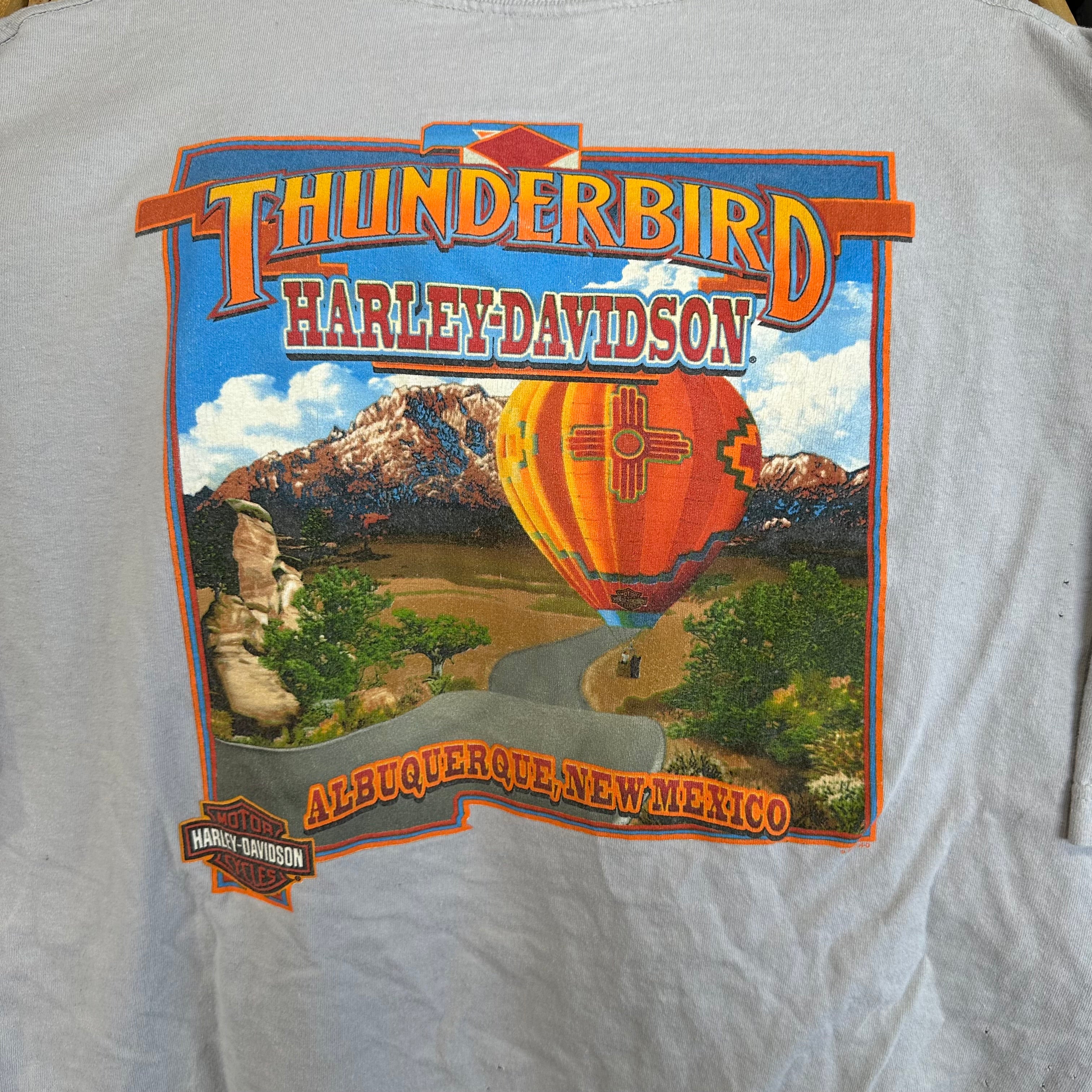 Gray Harley Davidson Hot Air Balloon T-Shirt